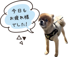 今日もお疲れ様でした