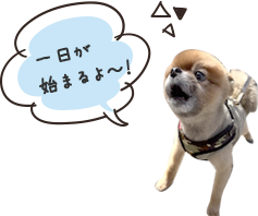 一日が始まるよ～